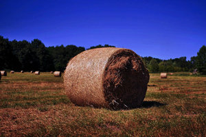 _DSC3208_1_(3a).jpg _DSC3208_1_(3a).jpg