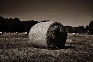 _DSC3208_1_(3b).jpg _DSC3208_1_(3b).jpg