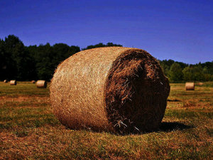 Bild32.jpg Bild32.jpg