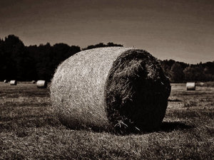 Bild32_(2).jpg Bild32_(2).jpg