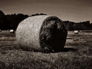 Bild36_(2).jpg Bild36_(2).jpg