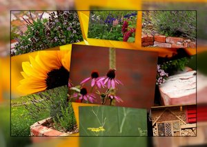 Hans Garten 500 kbHans Garten.jpg