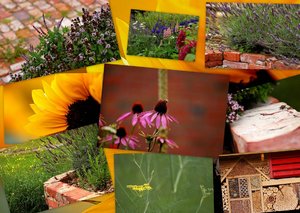 Hans Garten 500 kb ohne RahmenHans Garten.jpg