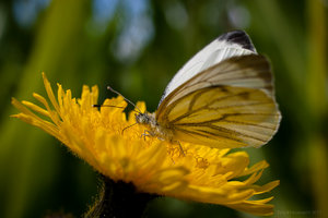 1shot1moment@bilderforum (1 von 1)-4.jpg