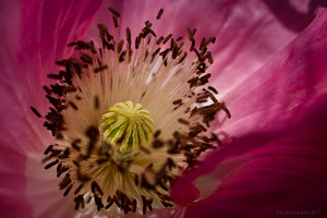 1shot1moment@bilderforum (1 von 1)-2.jpg