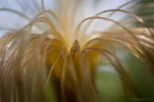 1shot1moment@bilderforum (1 von 1)-3.jpg