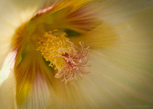 1shot1moment@bilderforum (1 von 1)-5.jpg