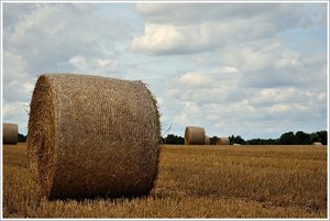 stroh1.JPG
