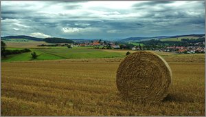 Getreideernte bei Röllshausen_Rand.JPG