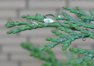 IMG_0069 xcv 4-5.jpg