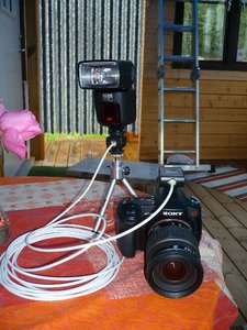 P1010205Bild.de_001.jpg P1010205Bild.de_001.jpg