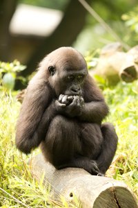 Zoo Duisburg-2-2.jpg