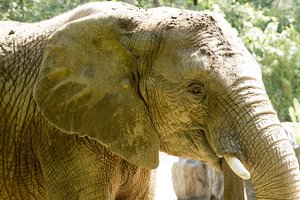 Zoo Duisburg-34.jpg