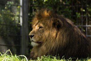 Zoo Duisburg-42.jpg