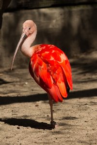 Zoo Duisburg-47.jpg