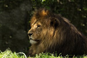 Zoo Duisburg-42f.JPG