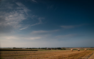 1shot1moment@bilderforum (1 von 1).jpg