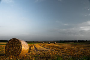 1shot1moment@bilderforum (1 von 1)-3.jpg