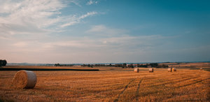 1shot1moment@bilderforum (1 von 1)-5.jpg