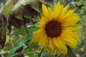 P8230200.jpg P8230200.jpg