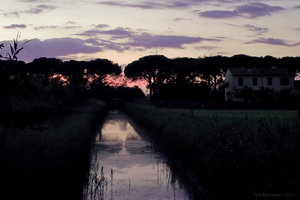 1shot1moment@bilderforum (1 von 1).jpg