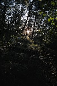 Bilderforum SDIM0935 SD15 + 10-20 (c) PPf.jpg Bilderforum SDIM0935 SD15 + 10-20 (c) PPf.jpg