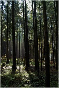 Bild 1.jpg Bild 1.jpg