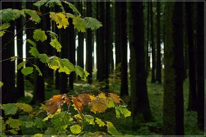 Bild 2.jpg Bild 2.jpg