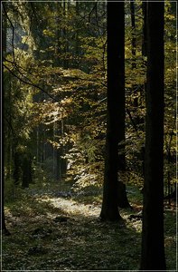 Bild 3.jpg Bild 3.jpg