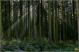 Bild 4.JPG Bild 4.JPG