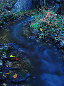 2010_11_09_Britz_Ragoese_Bahndammdurchlass_0009_450x600pix.jpg 2010_11_09_Britz_Ragoese_Bahndammdurchlass_0009_450x600pix.jpg