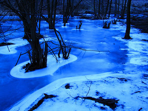 2011_02_27_Britz_Ragoesebiber_Bahndamm_Stauteich_0003_800pix.jpg 2011_02_27_Britz_Ragoesebiber_Bahndamm_Stauteich_0003_800pix.jpg