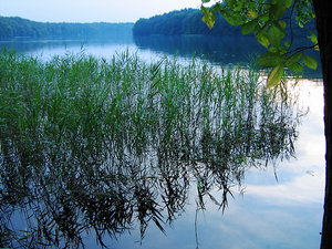 2011_08_24_Liepnitzsee_nach_SU_0052_800pix.jpg