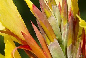 04_SDIM4249_120mm_CZJ corp.jpg