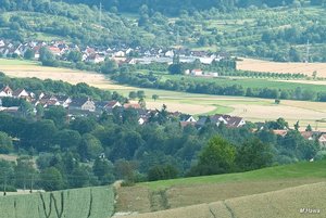 07_SDIM5455_CZJ120 Corp.jpg