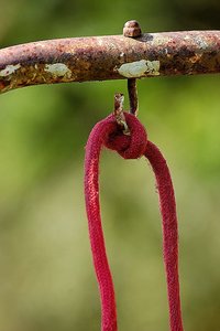 Was hier aber auch alles 'rumsteht geschärft....Was hier aber auch alles 'rumsteht....0001.jpg