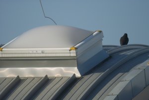 SDIM1230_SPP3.5.2_ooc_web.jpg SDIM1230_SPP3.5.2_ooc_web.jpg