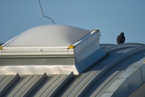 SDIM1230_SPP3.5.2_auto_web.jpg SDIM1230_SPP3.5.2_auto_web.jpg