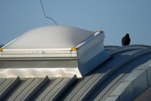 SDIM1230_PS_autokontrast_ooc_web.jpg SDIM1230_PS_autokontrast_ooc_web.jpg