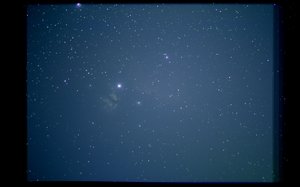 pferd2_2.jpg pferd2_2.jpg