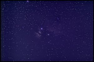 pferd_giotto_fits.jpg pferd_giotto_fits.jpg