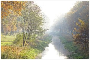 Herbst_nebel.jpg