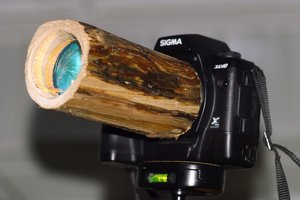 SDIM9062.jpg SDIM9062.jpg