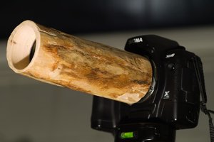 SDIM9074.jpg SDIM9074.jpg