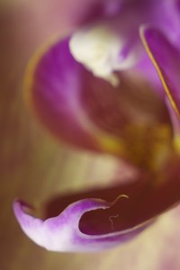 SDIM9088.jpg SDIM9088.jpg