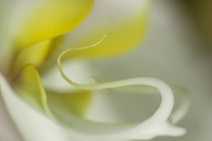 SDIM9091.jpg SDIM9091.jpg