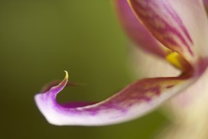 SDIM9095.jpg SDIM9095.jpg