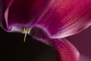 SDIM9105.jpg SDIM9105.jpg