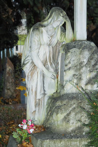 SDIM6079_1_1 Kopie.jpg