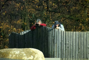 SDIM4370s.jpg SDIM4370s.jpg